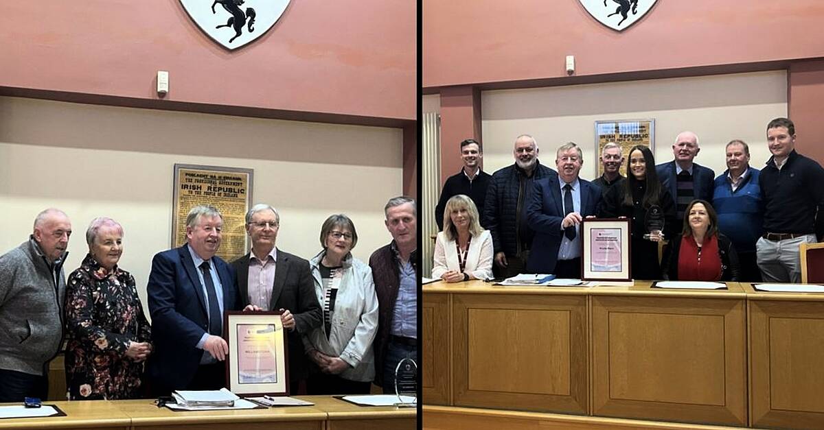 Civic Reception in Ballinasloe to recognise sporting and community ...