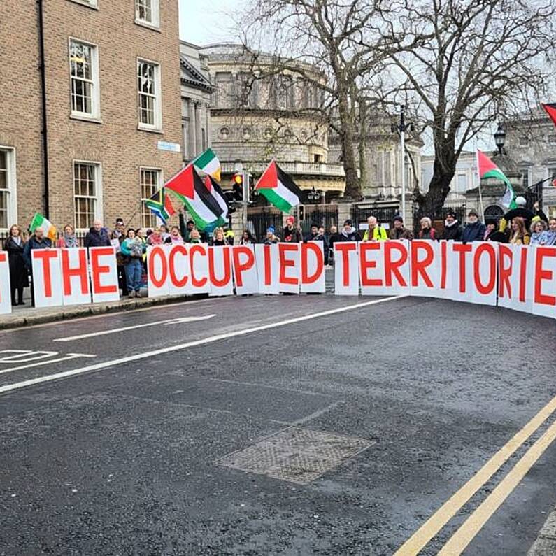 Galway protesters among gathering outside Leinster House pushing for passing of Occupied Territories Bill