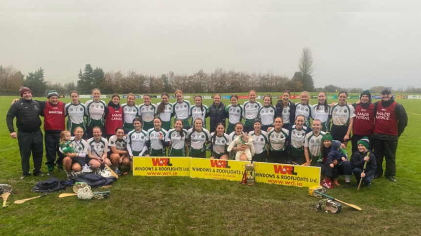 Sarsfields Reign Supreme As They Win Sixth County Senior A Camogie Title In A Row - Commentary, Report And Reaction