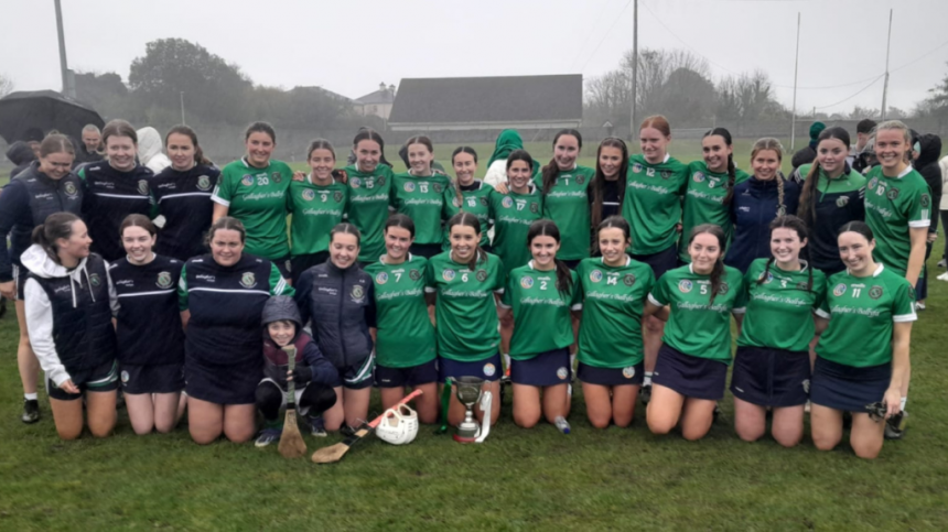 Sarsfields Wins County Junior A Camogie Title - Report and Reaction