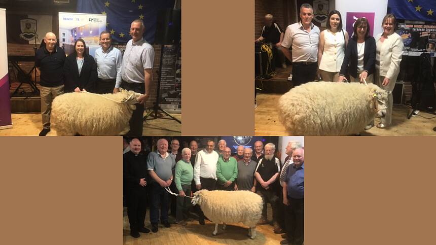 European and Connacht Sheep Shearing Finals launched in Mountbellew