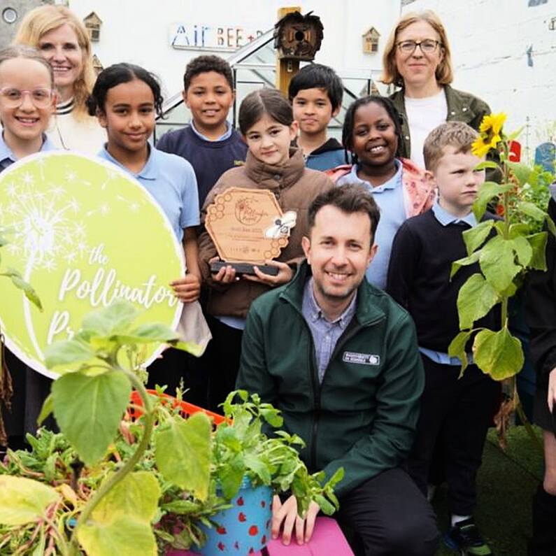 St Patrick's Primary School in city crowned national Golden Bee Champion