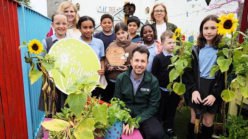 St Patrick's Primary School in city crowned national Golden Bee Champion