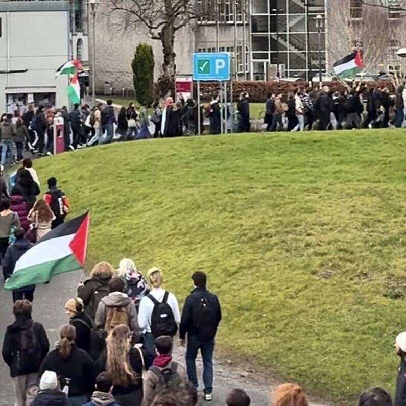 Significant turnout at rally against links between University of Galway and Israeli IT