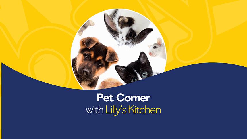 Pet Corner