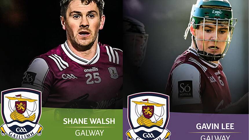 Shane Walsh and Gavin Lee named Footballer and Hurler of the week