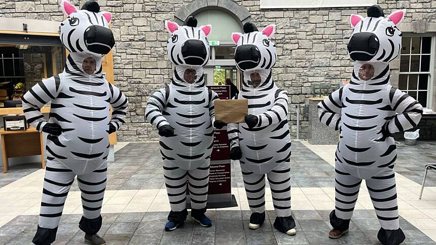 Road Safety Zebras deliver letters from Bearna pupils to County Hall