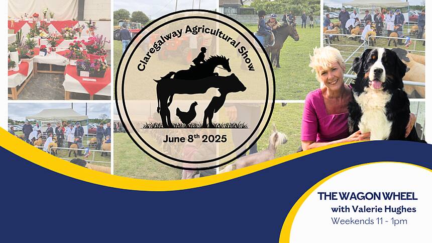 Claregalway Agricultural Show 2025