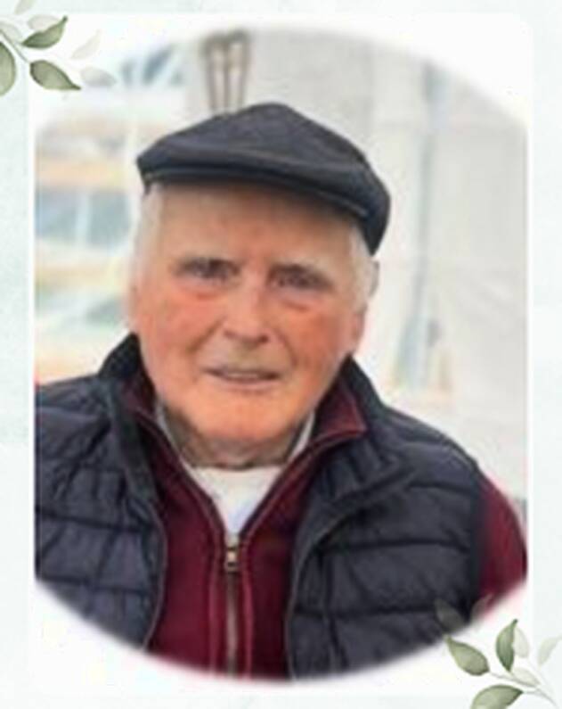 Michael Francis Fahy
