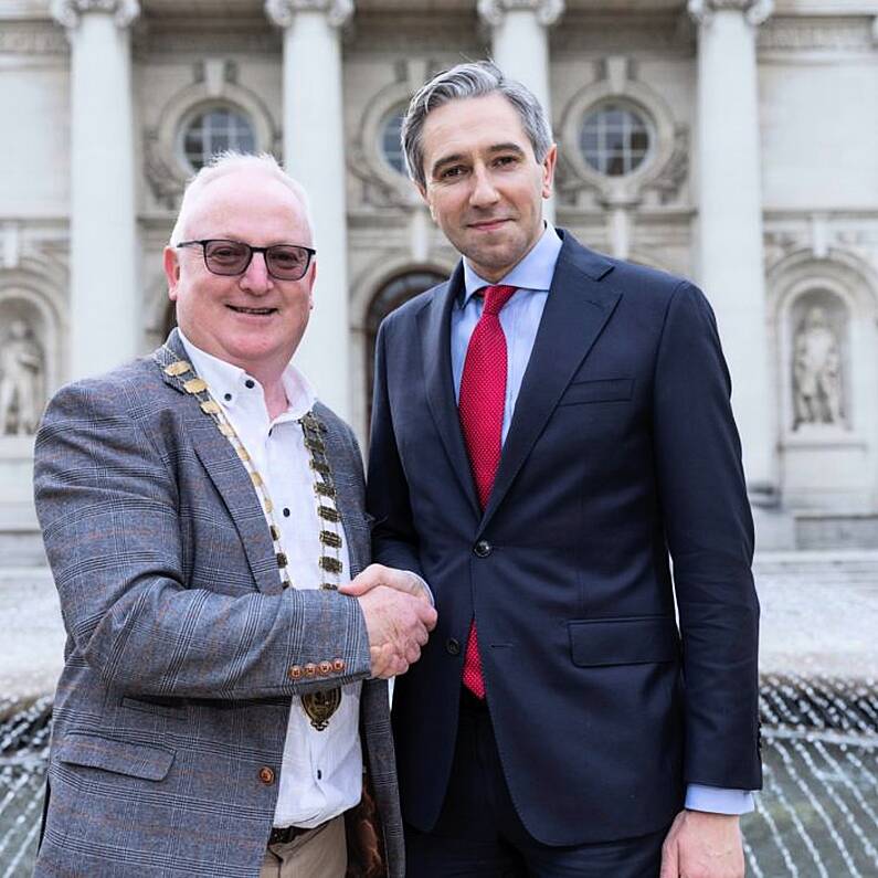 Tánaiste meets County Cathaoirleach to discuss key Galway issues