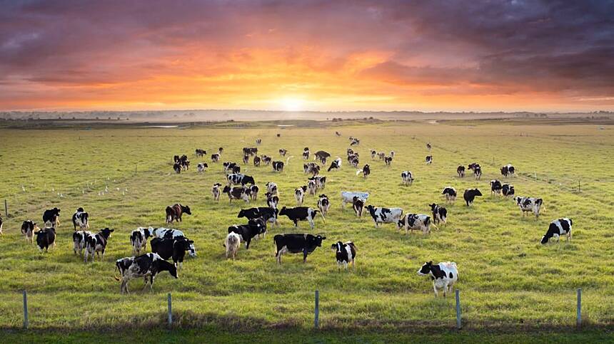 Irish Farmers Journal hosts its mart series in Ballinasloe tonight