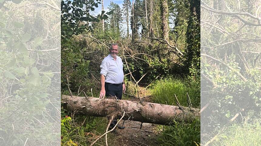 Calls for urgent action at Monivea Woods following storm damage