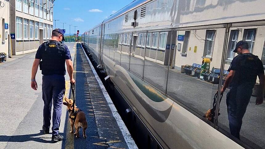 New sniffer dog detects 8 drug possession incidents during Ceannt Station operation