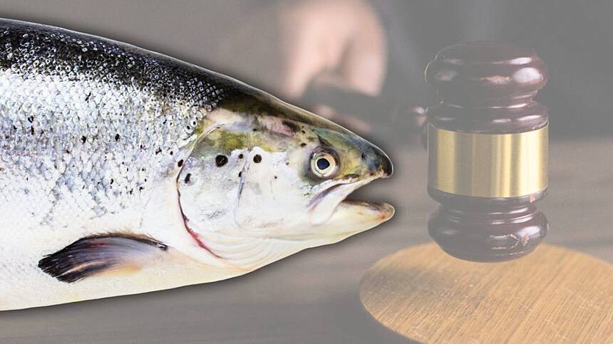 City man convicted and fined over illegal Salmon fishing in Connemara
