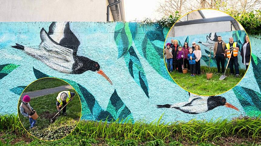 Residents of Wellpark Grove in the city transform local laneway