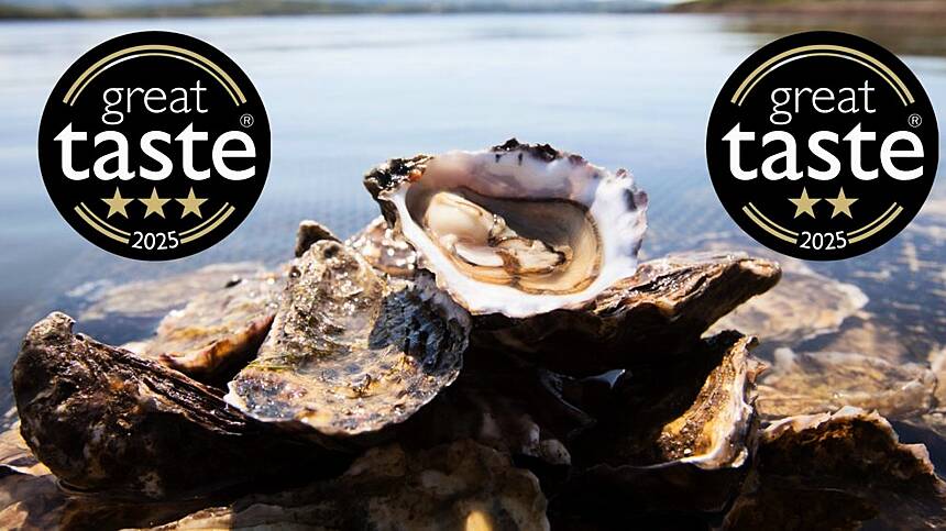 DK Connemara Oysters secures two wins at global Great Taste Awards