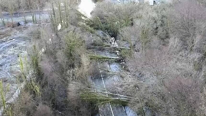 Contractors to remove precarious trees at Castlegrove in Kilconly