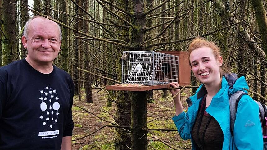 Research in Connemara reveals how red squirrels thrive despite predators