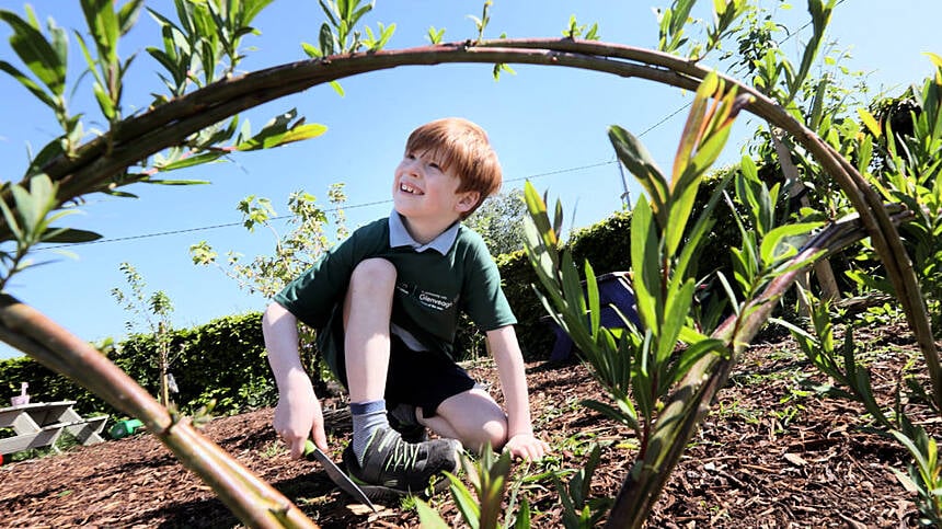 Five Galway schools achieve 'Nature Hero Award'