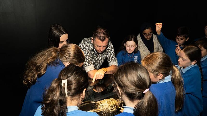 City Museum launches 'Galway in Objects' educational project for schools