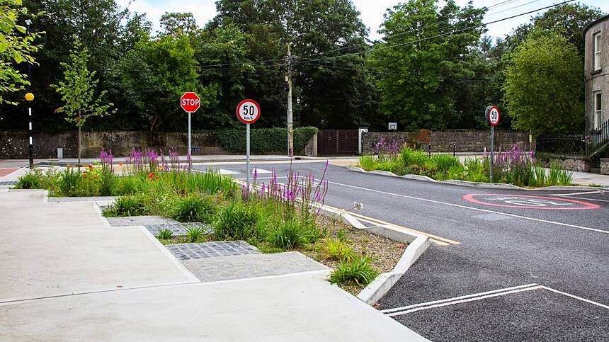 City's first ever rain gardens thriving on Sea Road
