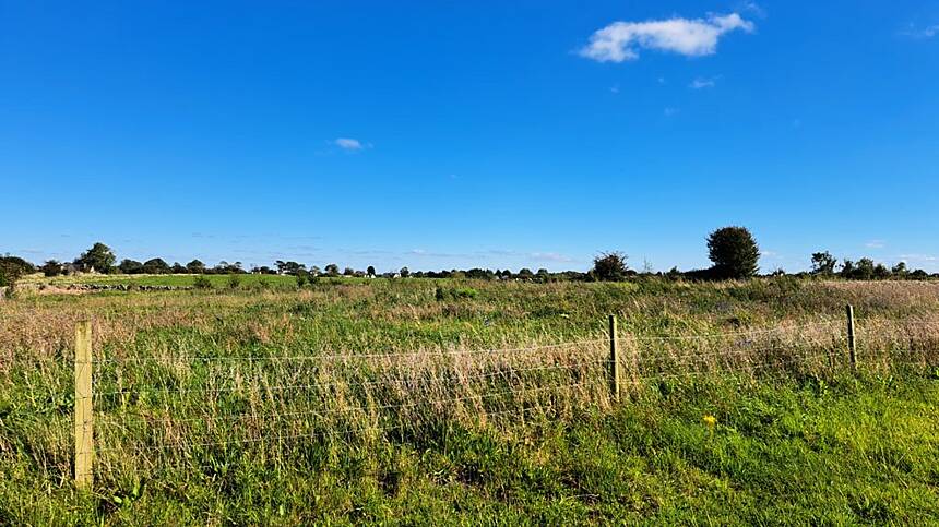 1,000 trees planted for Community Meadow in Athenry