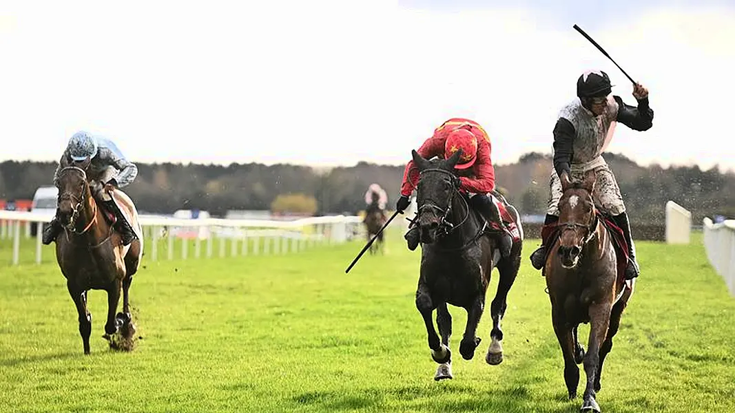 Hatton's Grace Hurdle: Honeysuckle beaten for first time as Teahupoo takes Fairyhouse crown for Gordon Elliott | Racing News | Sky Sports