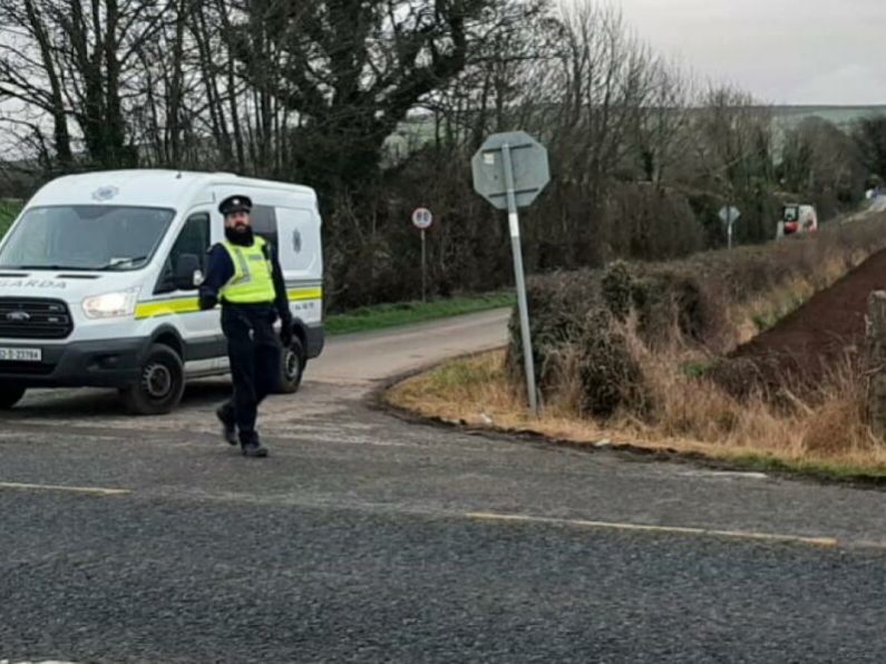 Gardai Search For Man Who Attacked Teenage Girl While Exercising