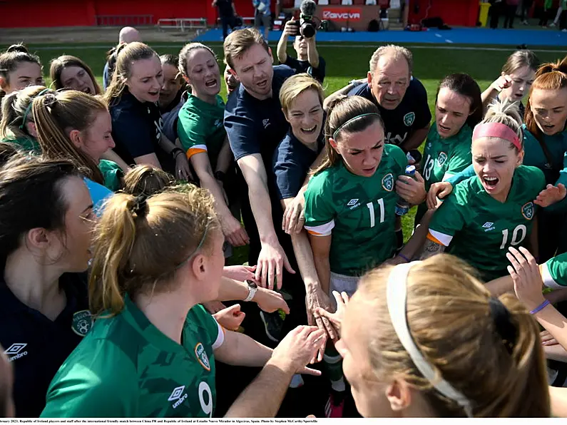 Ireland squad to face USA announced