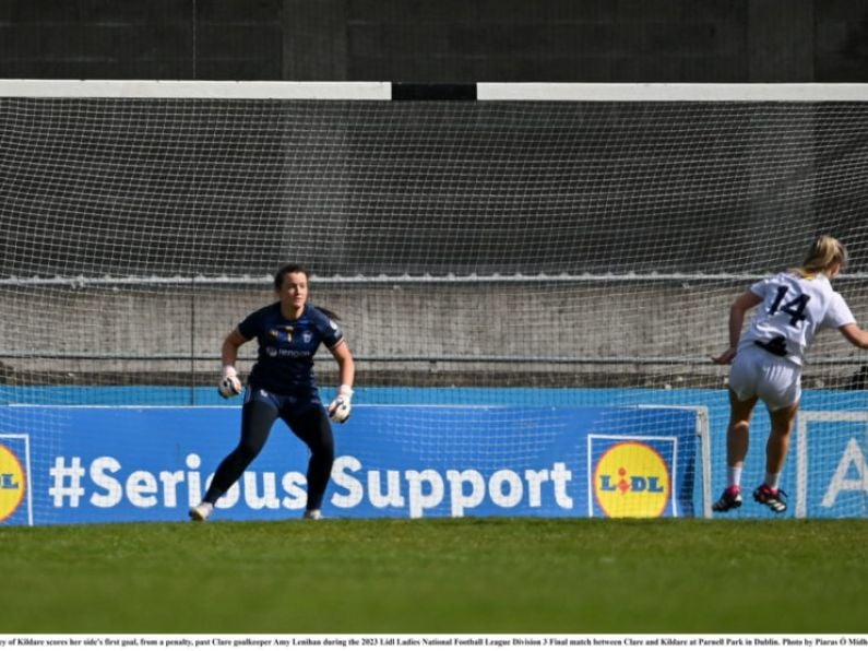 Kildare avoids relegation with 1-10 to 1-8 win over Laois