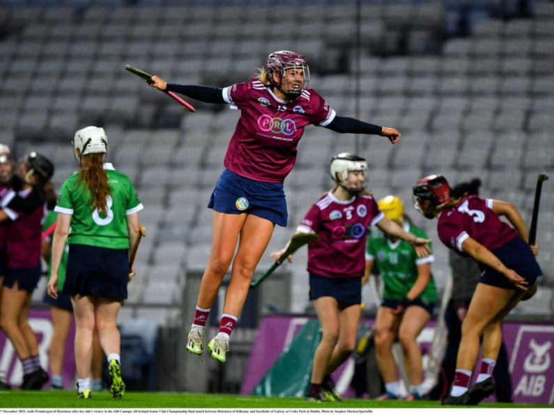 2023 AIB Camogie Club Championships Team of the Year unveiled : Who made it in?