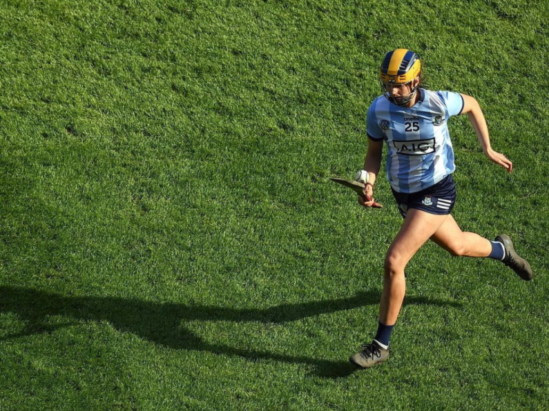 Dublin To Face Kilkenny At Parnell Park This Saturday