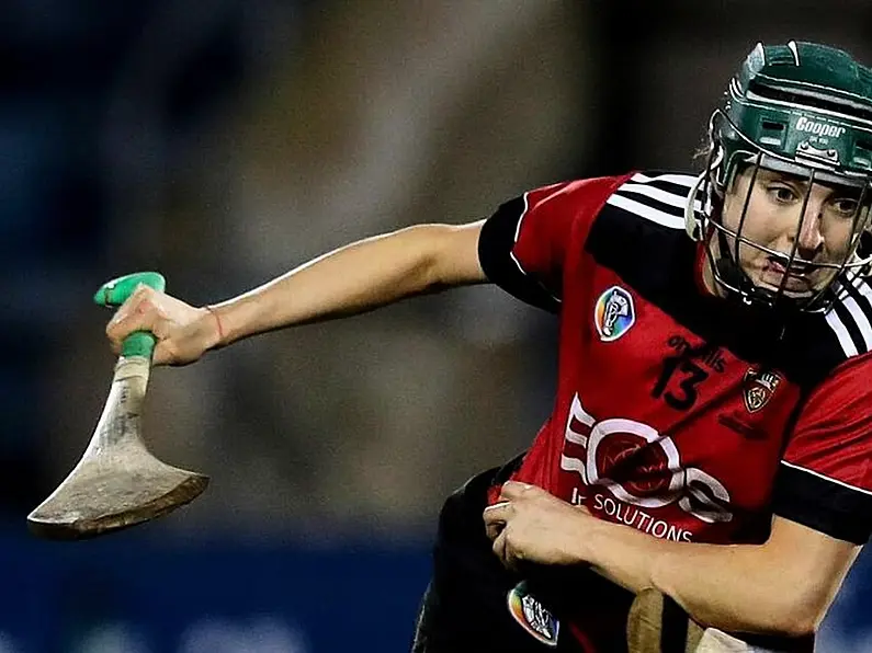 Senior Camogie Relegation Final: Down 1-12, Offaly 0-6