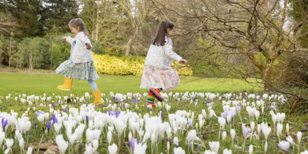 Mount Congreve Gardens To Reopen For Spring