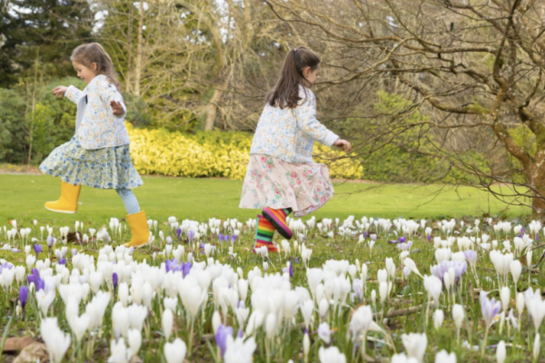 Mount Congreve Gardens To Reopen For Spring