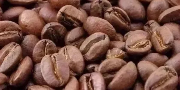 Brazil's Coffee Harvest Nearly 70% Done; Analysts Diverge On Size