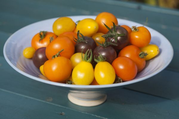 Tomato Festival To Take Place At Airfield Estate