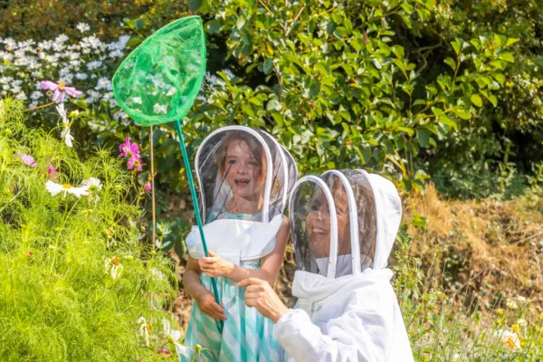 First Waterford Honey Show To Take Place During Harvest Festival