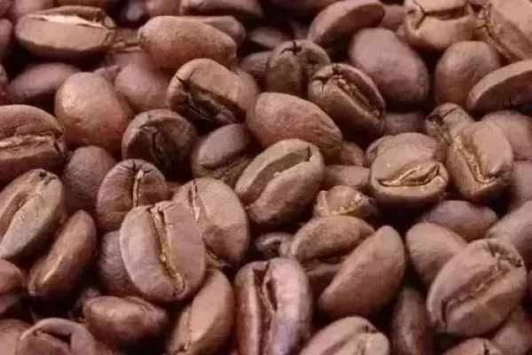 Traders Seek To Recertify Large Volume Of Arabica Coffee At ICE