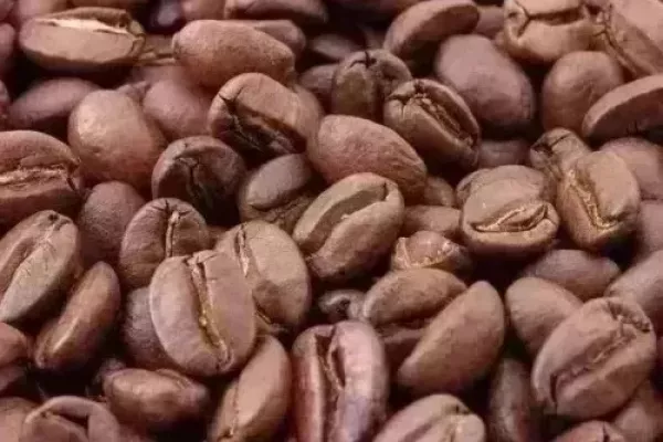 Arabica Coffee Prices To Drop 12% As Global Surplus Forecast