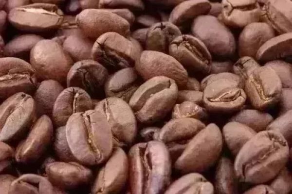 Brazil's 2022/23 Coffee Crop 60% Sold By 18 October, Says Report