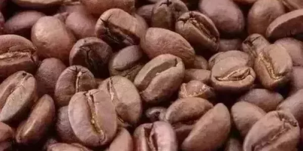 Demand For High-Quality Coffee Wanes
