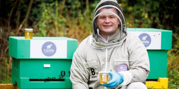 Camile Thai Kitchen Joins Fight To Save Ireland's Only Native Honeybee