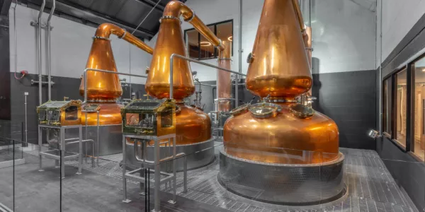 Caitriona McAleese And Megan Byrne Discuss Distilling Profession