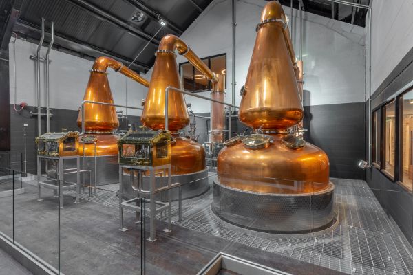Caitriona McAleese And Megan Byrne Discuss Distilling Profession