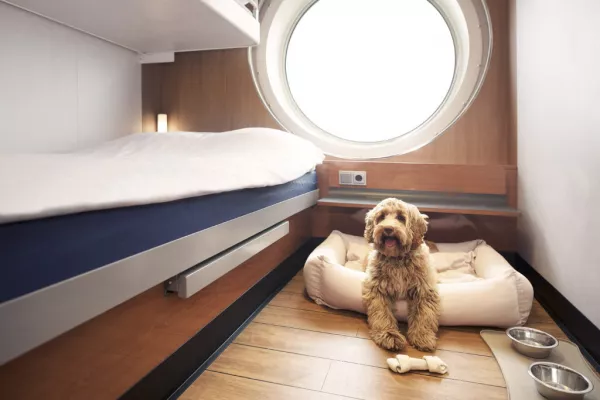 Stena Line Invests In Pet-Friendly Cabins On Irish Sea Routes