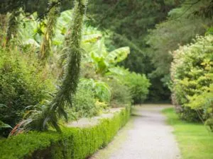 Fota Arboretum & Gardens