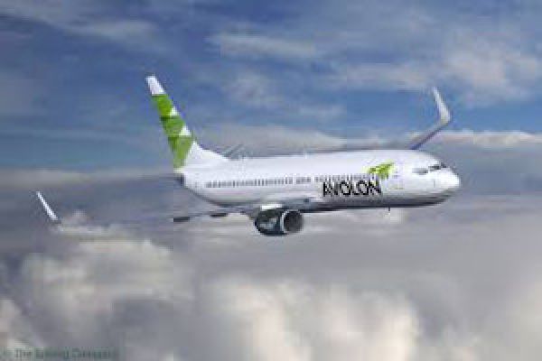 China Sovereign Fund CIC In Talks To Buy Avolon