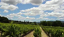 Jacob’s Creek Appoints New Chief Winemaker