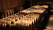 McGuigan Fourth-Biggest Wine Brand In UK